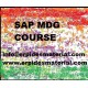 SAP MDG TRAINING VIDEOS COURSE